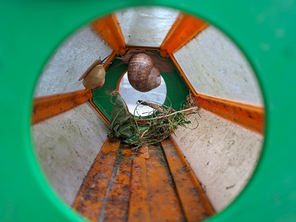 Aucune description de photo disponible.